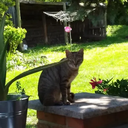 Vendeghaz בית הארחה 3*