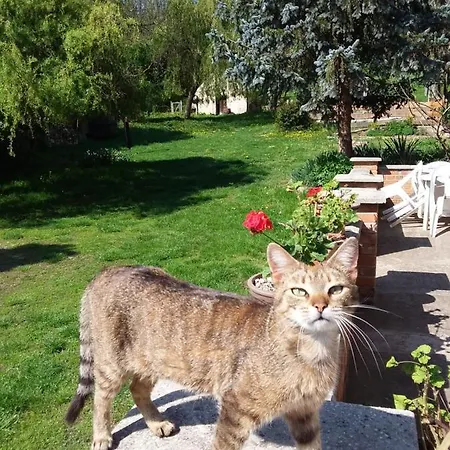 Vendeghaz בית הארחה 3*