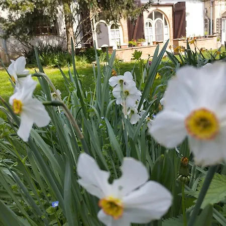 Vendeghaz בית הארחה 3*