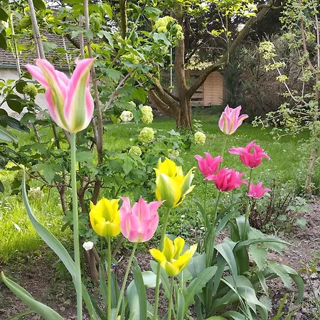 Vendeghaz בית הארחה 3*