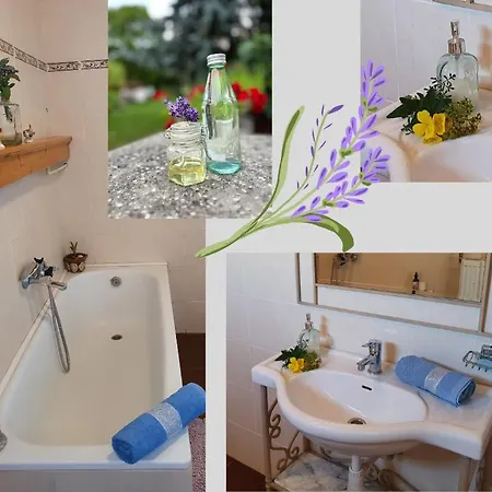 Vendeghaz בית הארחה