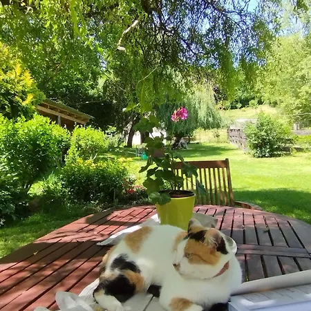 Vendeghaz בית הארחה Helesfa