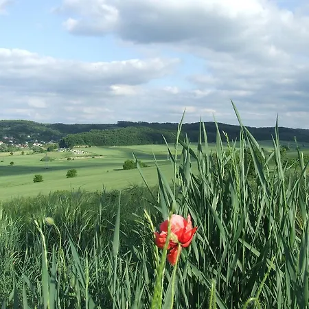 Vendeghaz 3* Helesfa