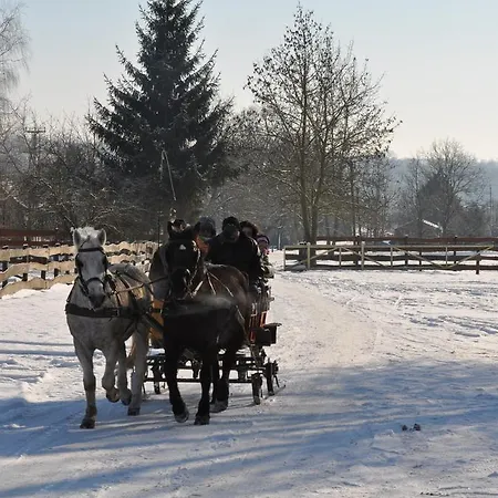 Pensionat Vendeghaz 3*