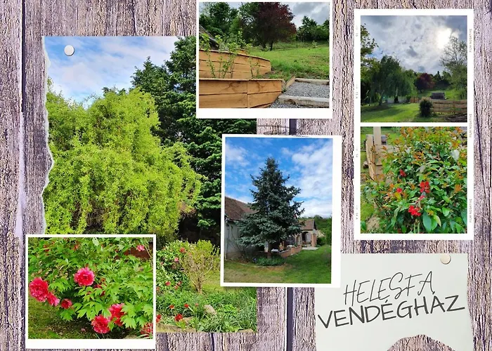 Vendeghaz Helesfa
